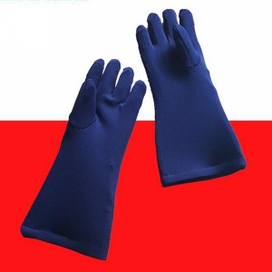 Professional China Steel Door Frame -<br />
 Lead Gloves - Golden Door